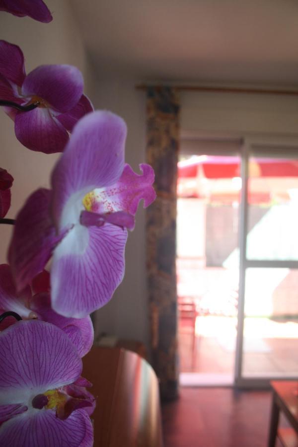 Apartamento Calle De La Cordera, 3 Torremolinos Esterno foto